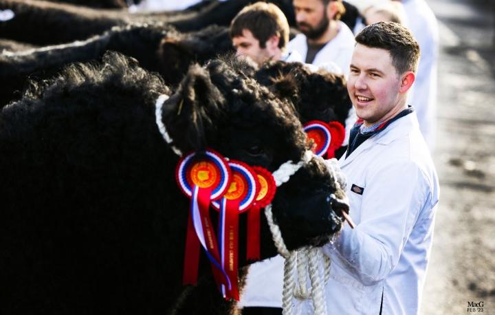 Castle Douglas 2023 Spring Show and Sale