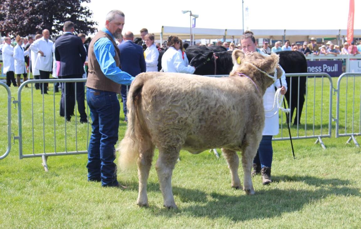 Competitors at show