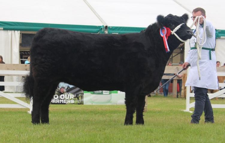 Overall breed champion Princess Marlyn
