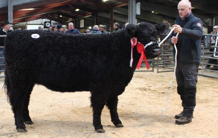 Overall champion Ben Lomond Flower