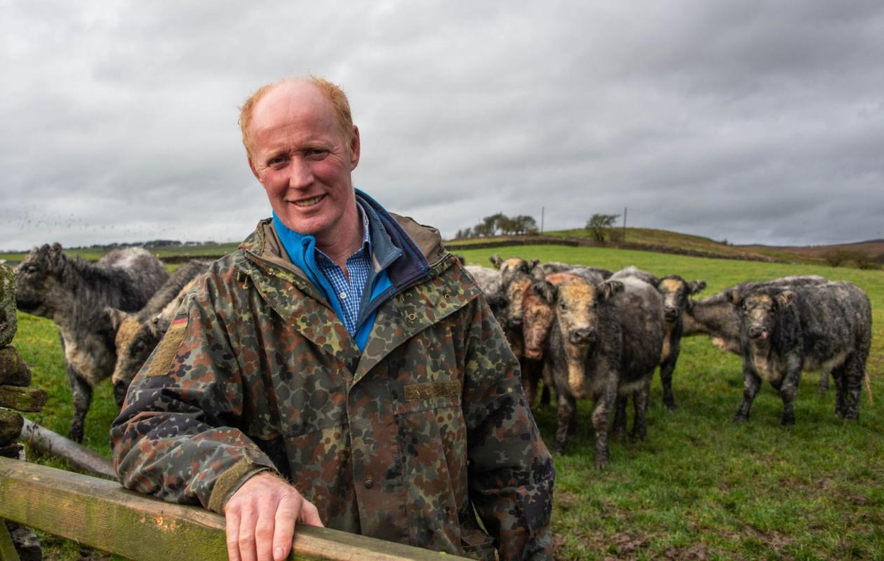 Andrew Haggas with Galloway Cattle