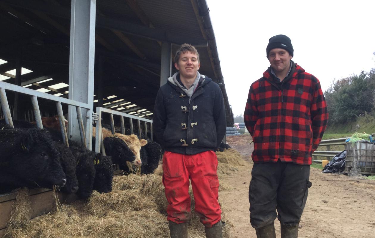 Farmhands at Luckworthy Farm
