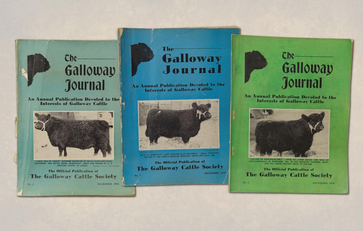 Historical copies of the Galloway Journal