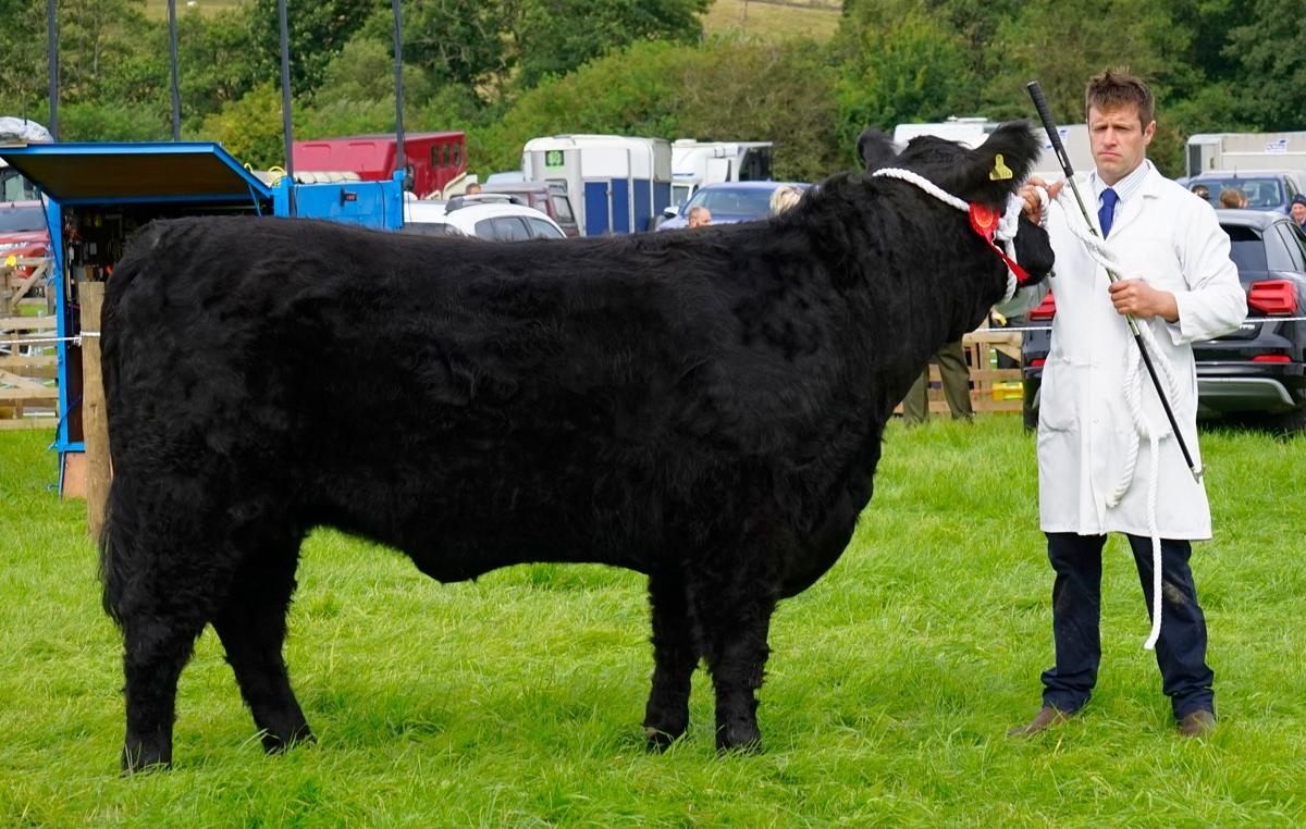 Champion Blackcraig Blondchen