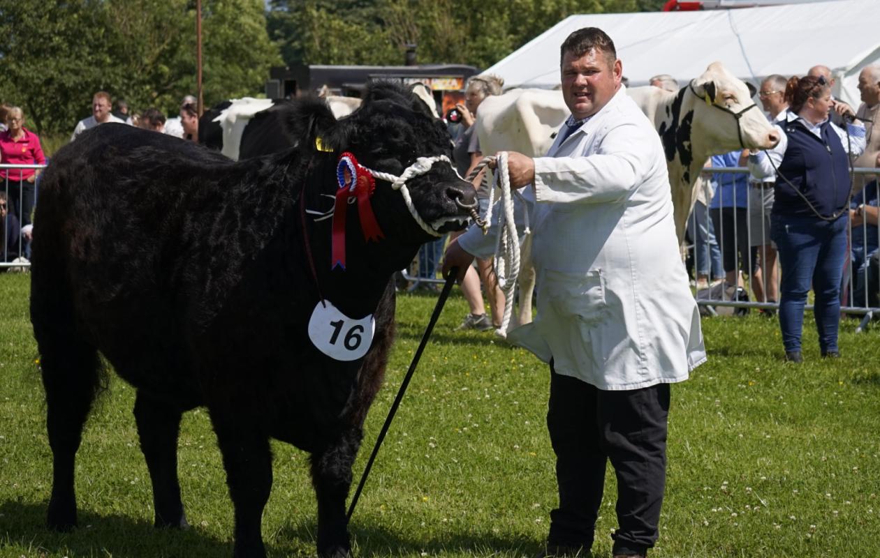 Stewartry Show Champion 2024