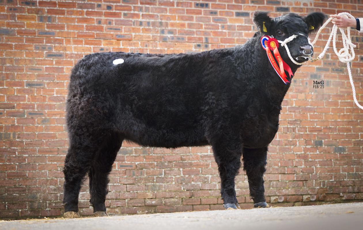 Blackcraig Libby E1474