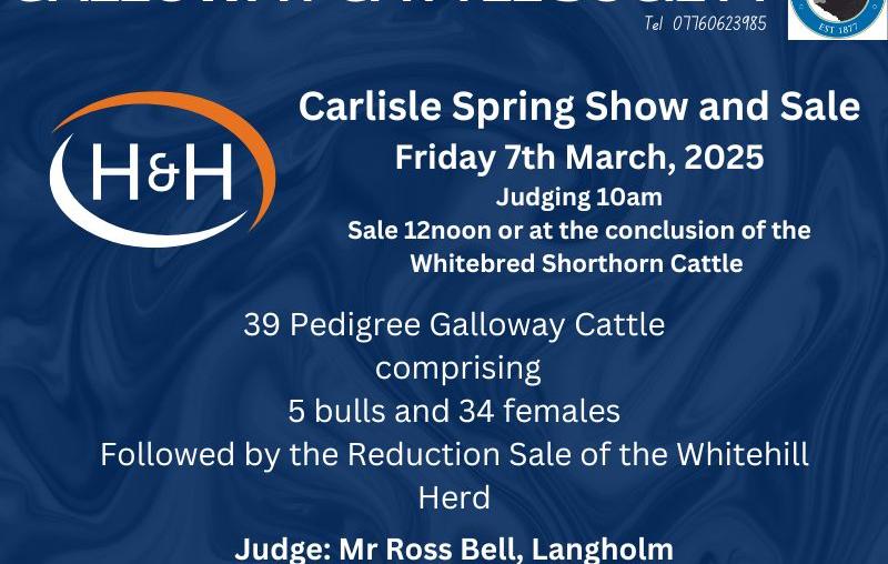 Carlisle show and sale 