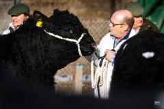 Castle Douglas 2023 Spring Show and Sale