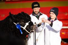 Castle Douglas 2023 Spring Show and Sale