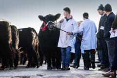 Castle Douglas 2023 Spring Show and Sale