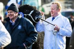 Castle Douglas 2023 Spring Show and Sale