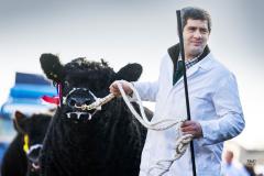 Castle Douglas 2023 Spring Show and Sale
