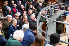 Castle Douglas 2023 Spring Show and Sale