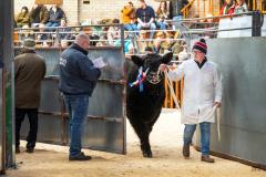 Castle Douglas 2023 Spring Show and Sale