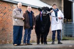 Castle Douglas 2023 Spring Show and Sale