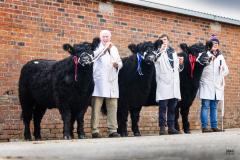 Castle Douglas 2023 Spring Show and Sale