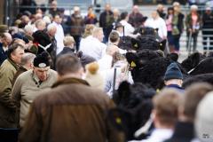 Event attendees