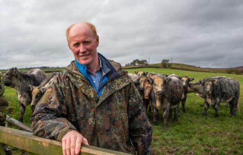 Andrew Haggas with Galloway Cattle