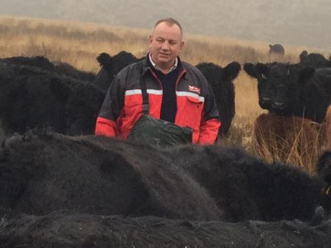 Steve Langdon with Galloway Cattle