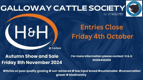 Advert for Galloway Cattle Autumn Show and Sale 2024