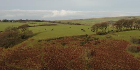 exmoor hill