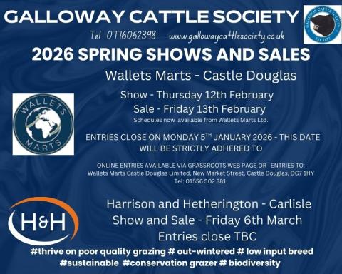  2026 Spring Shows and Sales
