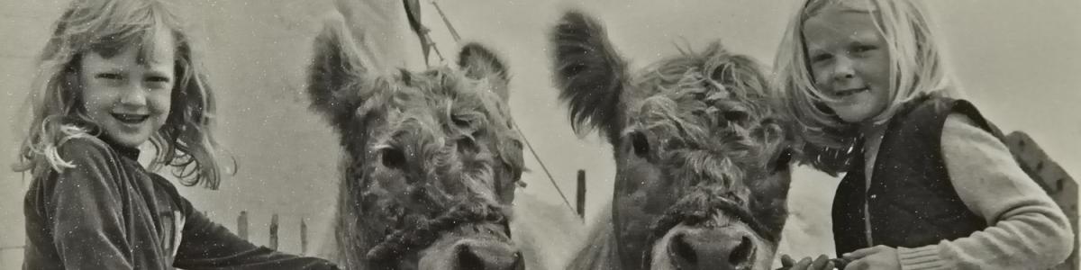 Historic photo of two girls with galloway cattle