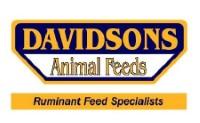 Davidsons logo